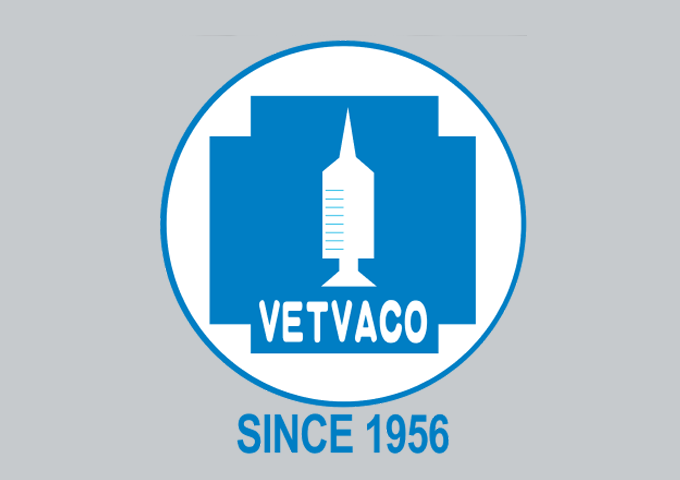 RESOLUTION OF THE BOD ON ADJUSTMENT OF SECURITIES TYPES