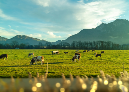 BẢN TIN THÚ Y CẬP NHẬT SỐ 3 - THÁNG 9 NĂM 2021