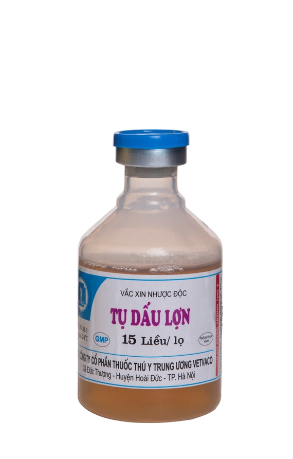 SWINE ERYSIPELAS AND PASTEURELLA LIVE VACCINE