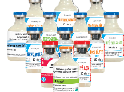 Vacxin